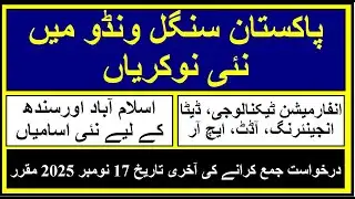 Pakistan Single Window | Jobs | Software Engineers & Others