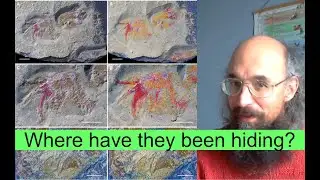 Palaeontology News: the first sea scorpions