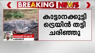 വാളയാറിൽ വീണ്ടും ആന അപകടം: ട്രെയിൻ തട്ടി ചരിഞ്ഞത് കുട്ടിയാന | Palakkad | Elephant