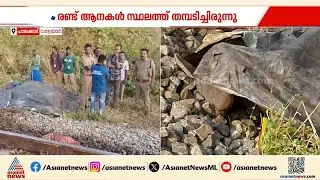 ദാരുണം! വാളയാറിൽ ട്രെയിൻ തട്ടി കൂട്ടംതെറ്റിയ കുട്ടിക്കൊമ്പൻ ചെരിഞ്ഞു | Palakkad | Wild elephant