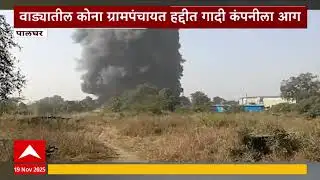 Palghar Wada Fire : वाड्यातील कोना ग्रामपंचायत हद्दीत गादी कंपनीला आग, परिसरात धुराचे लोट