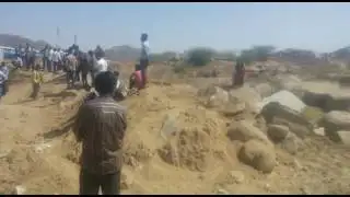 PALI-BIG BREAKING: forest Staff injured in Panther attack