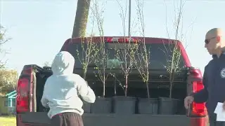 Panama City tree giveaways contribute to ongoing reforestation initiative