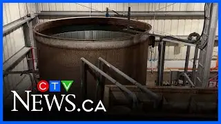 Parasite found in Kashechewan water, prompting evacuations