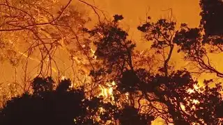 Park fire continues to expand rapidly