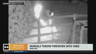 Parkland vandals repeatedly targeted home