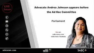 Parliament Ad Hoc Committee | Advocate Andrea Johnson