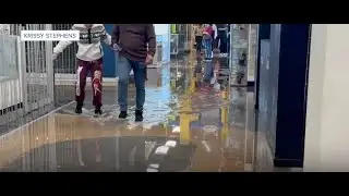 Partial roof collapse reported at Desert Sky Mall in Phoenix