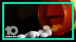 Pasco County officials hold news conference on opioid recovery pilot program