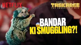 Passenger CAUGHT Smuggling BANNED Monkeys by Customs 🐒👀 | Taskaree: The Smuggler’s Web