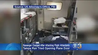 Passenger Charged After Attacking Flight Attendant