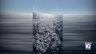 Passenger falls overboard Norwegian cruise ship