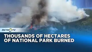 Patagonia Wildfires Devastate Thousands Of Acres