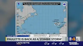 Paulette returns as "zombie" storm
