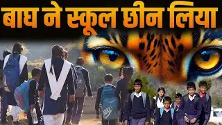 Pauri Garhwal में बाघ-भालू का आतंक | पीड़ित परिवारों की ज़ुबानी | Pauri Ground Report | #uttarakhand