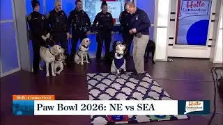 Paw Bowl 2026: NE vs SEA