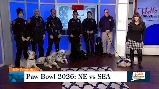 Paw Bowl 2026: NE vs SEA