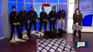 Paw Bowl 2026: Officer Hodges