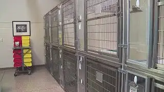 Paws By The Lake Resort reopening for essential workers