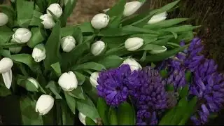 PCN Whole Episode show 122 April 9th 2015