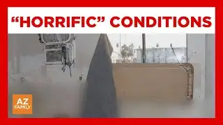 PD: Glendale kids found in feces-filled apartment; parents arrested