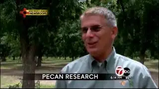 pecan farmers concerns, nmsu helps
