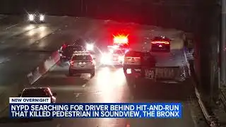 Pedestrian killed in hit-and-run crash in the Bronx