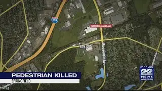 Pedestrian struck, killed by car in Springfield