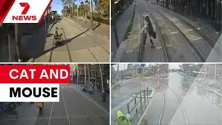 Pedestrians dice with death around Sydney