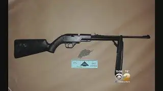 Pellet Gun Suspect In Court