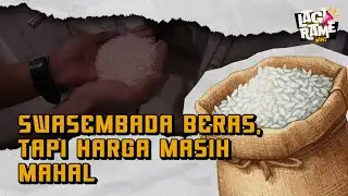 Pemerintah Klaim Swasembada Pangan, Tapi Kok Harga Beras Masih Mahal?