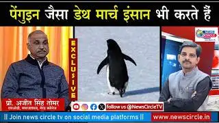 Penguin Death March जैसी स्थिति इंसान भी झेलते हैं, Meerut College professor का बयान #socialissues