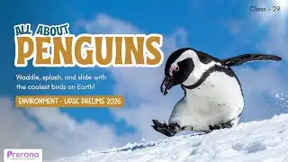 Penguins Explained | Species, Habitat & Conservation | Class 29 | #nihilistpenguin #upscenvironment