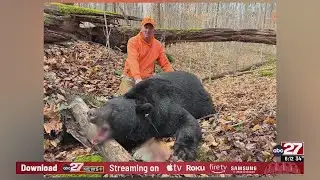 Pennsylvania hunter bags 717-pound black bear