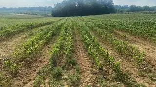 Pennsylvania workers brave extreme heat as officials emphasize safety