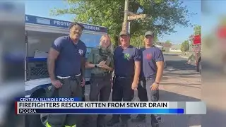 Peoria fire rescues kitten from sewer