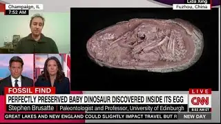 PERFECTLY PRESERVED BABY DINOSAUR DISCOVERED INSIDE ITS EGG