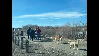 Personal loss fuels Casper group’s push for ice safety awareness