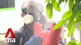 Pest control services hit by high demand, fewer workers