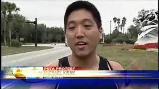 PETA Flies Protest Plan Over SeaWorld