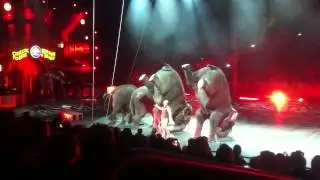 PETA protests circus