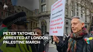 Peter Tatchell arrested at London Palestine march over ‘intifada’ placard