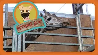 Petting Zoo: Zoo prepares for Cold Weather