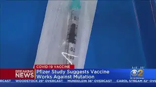 Pfizer Study Suggests COVID-19 Vaccine Works Again Mutation