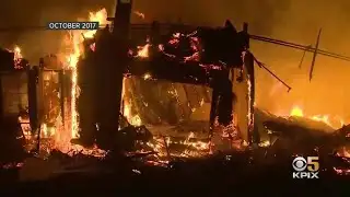 PG&E Blasted By Judge Over Tree-Trimming; Fire Victims Unhappy With Settlement