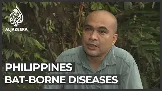 Philippines takes steps to prevent bat-borne diseases