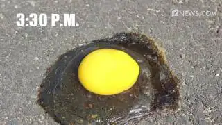 Phoenix heat wave: Can an egg actually cook on asphalt in 118 degrees?