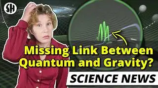 Physicists Find Missing Link Between Quantum Mechanics and Gravity