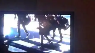 Piggyback Bandit - News 4