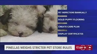 Pinellas County officials weighing stricter pet store rules